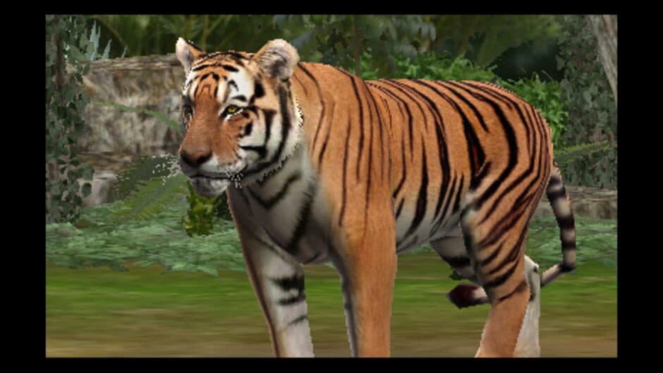 Zoo Resort 3D screenshot 3