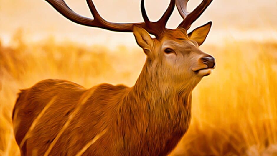 Wild Deer Hunt Jungle Sniper screenshot 3