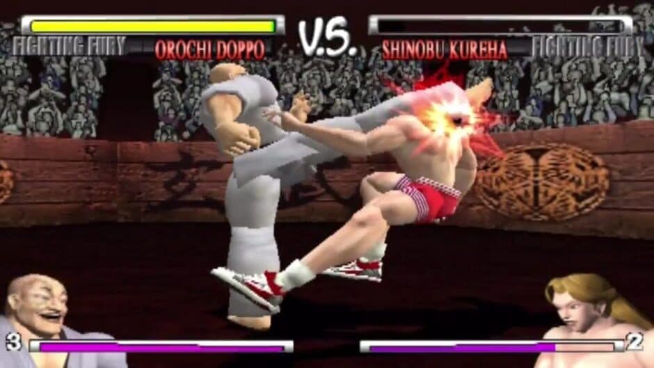 Fighting Fury