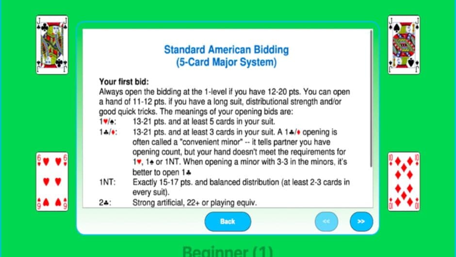 Bergen Bridge Beginner 1 screenshot 2