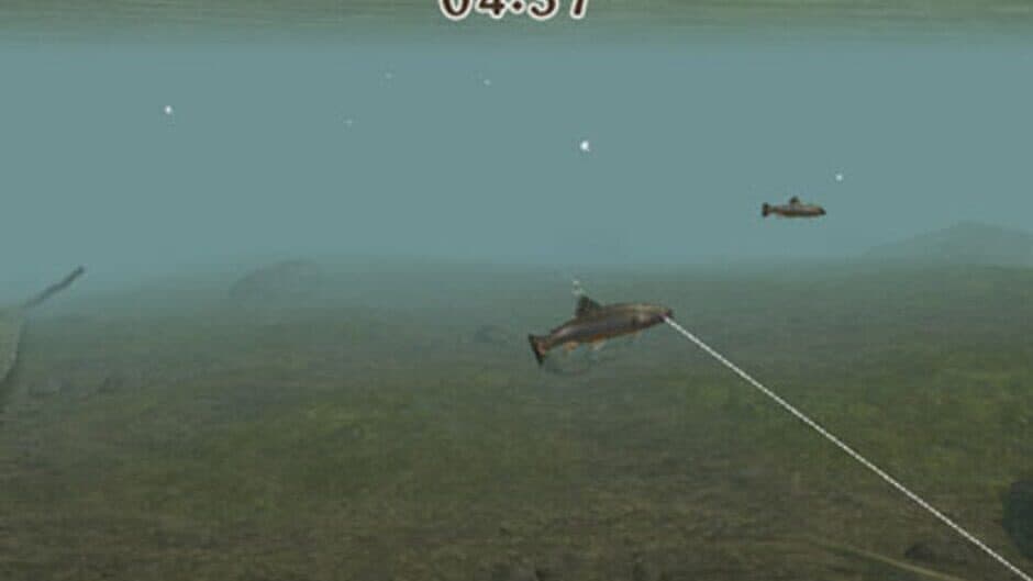 Reel Fishing Challenge II