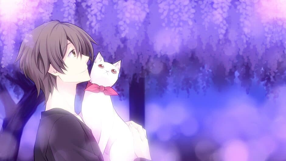 Kitty Love -Way to look for love screenshot 2