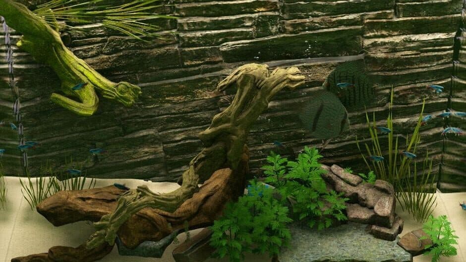Biotope: Aquarium Simulator