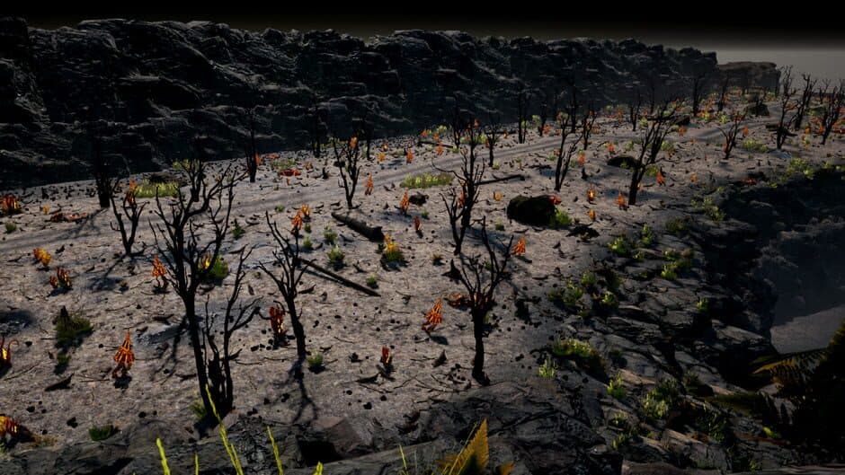 Natural Balance: Chronicles screenshot 5