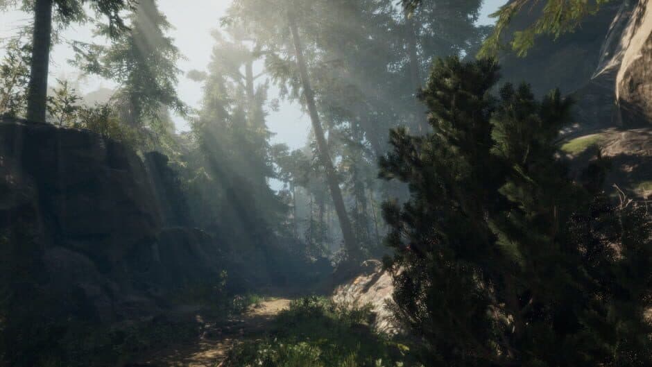 A Walk in the Woods: VR screenshot 4