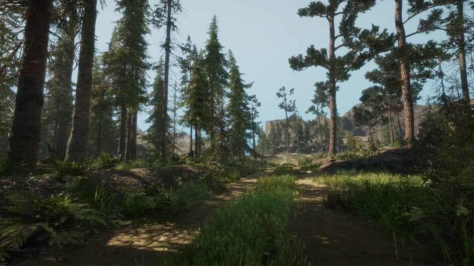 A Walk in the Woods: VR screenshot 5