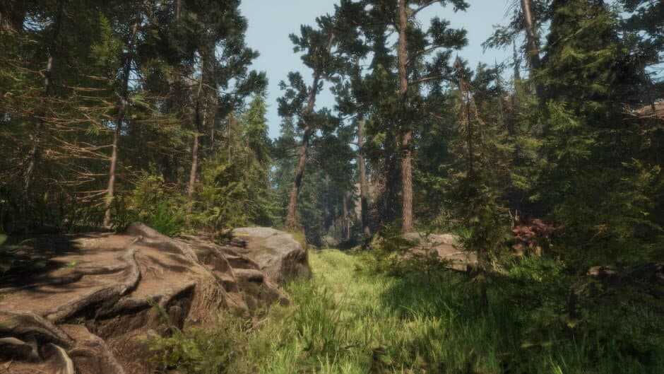 A Walk in the Woods: VR screenshot 3