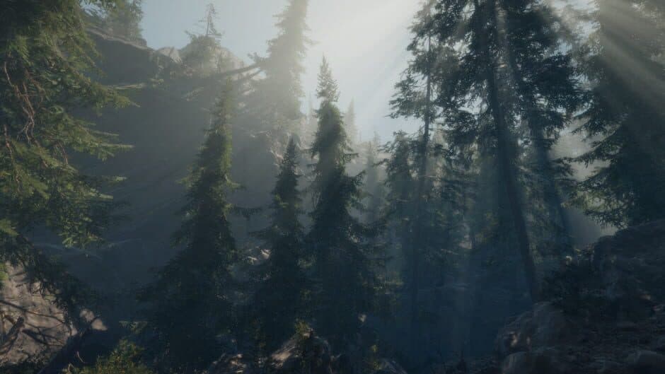A Walk in the Woods: VR screenshot 2