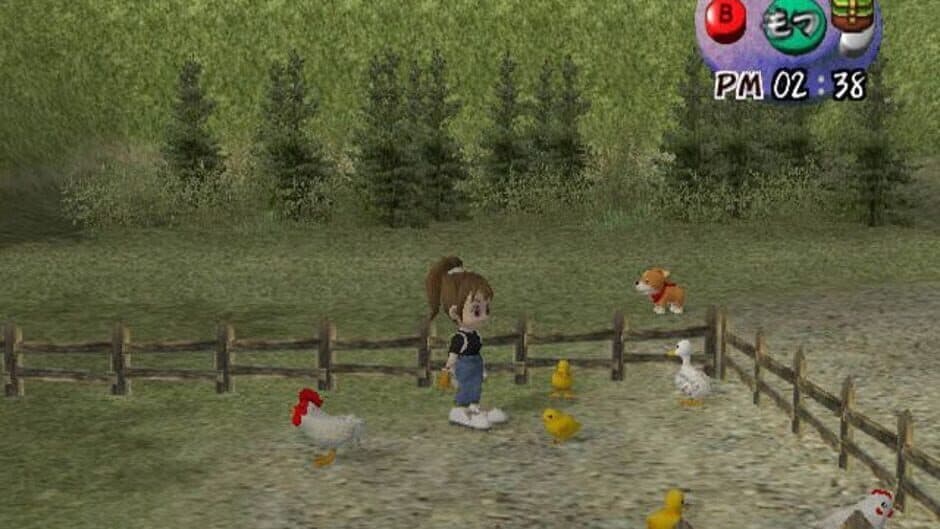 Harvest Moon: Another Wonderful Life