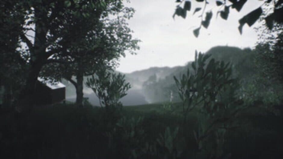 Scenic Forest Valley screenshot 2