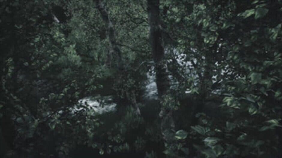 Scenic Forest Valley screenshot 4