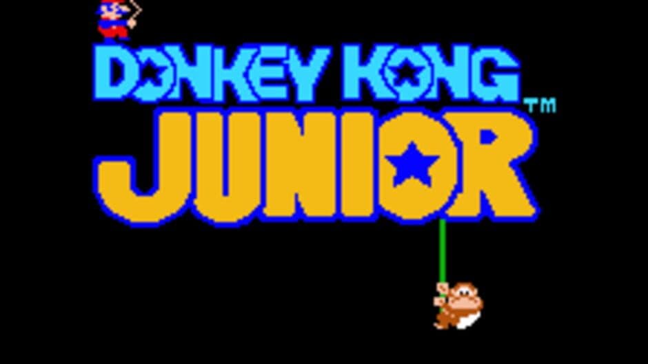 Donkey Kong Junior