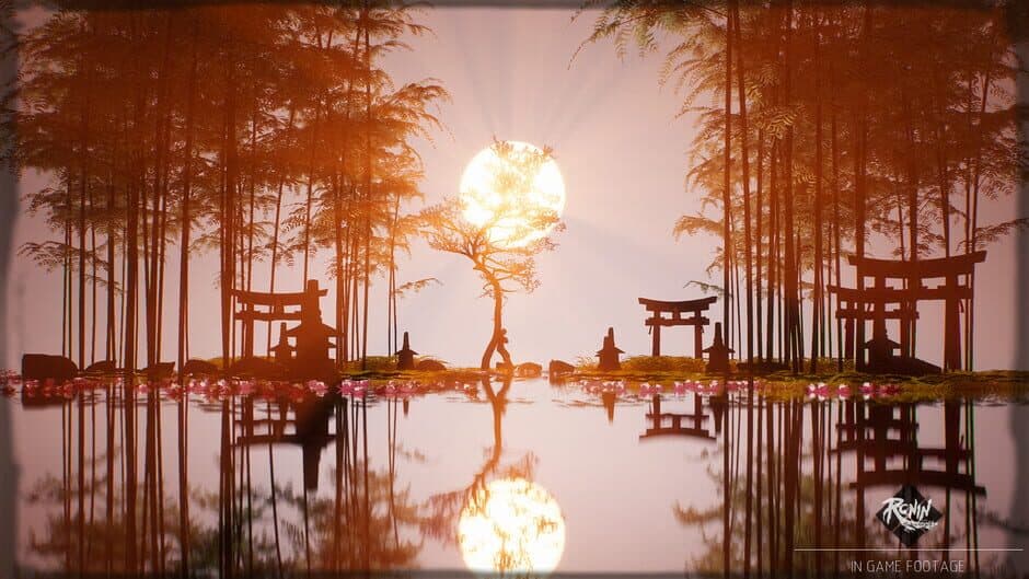 Ronin: Two Souls screenshot 2