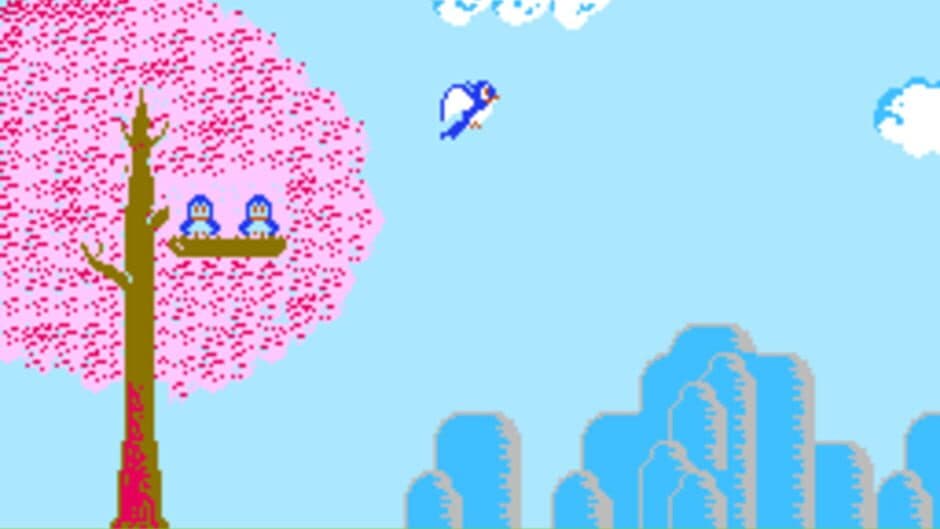Bird Week