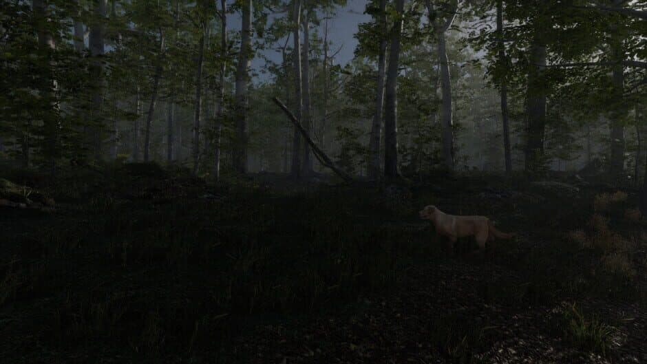 Stay Lit, Find Radio screenshot 3