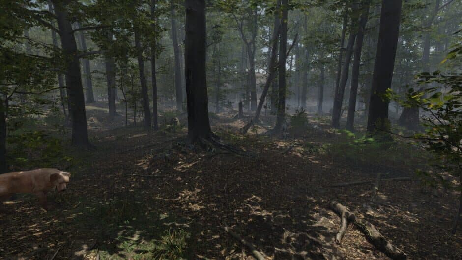 Stay Lit, Find Radio screenshot 4