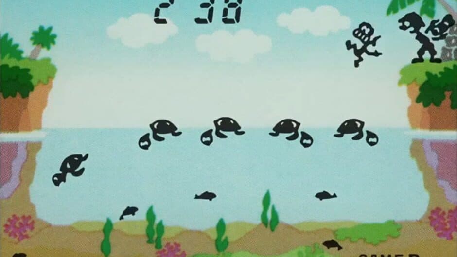 Turtle Bridge