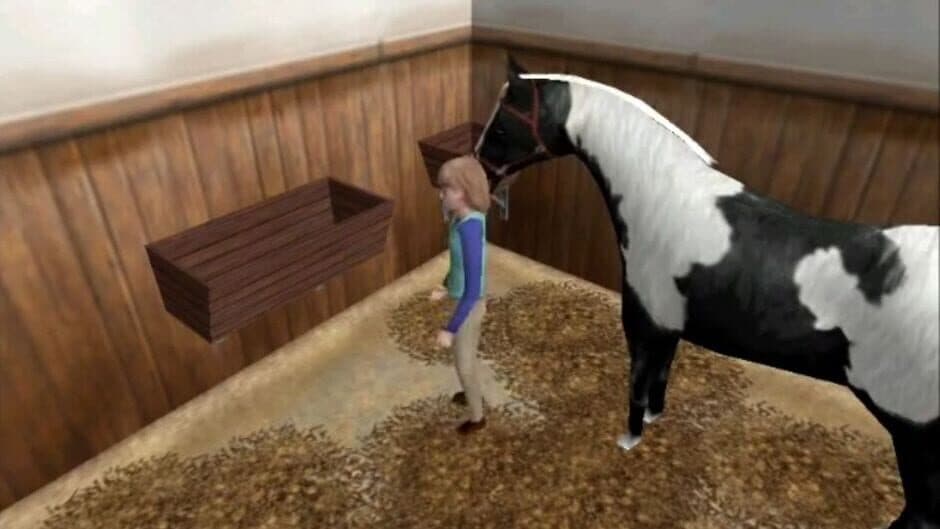The Saddle Club: Willowbrook Stables