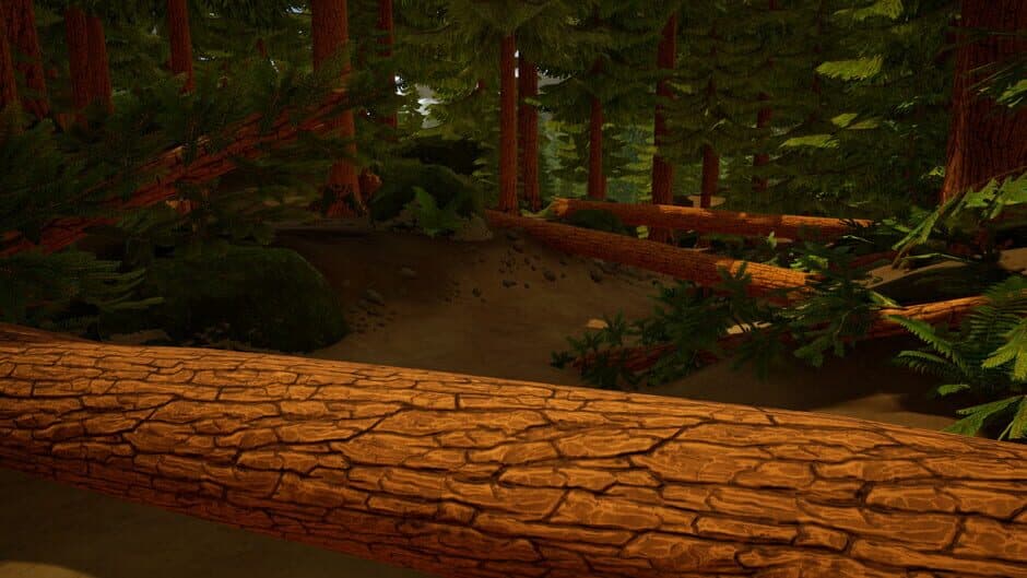 Autonima screenshot 5