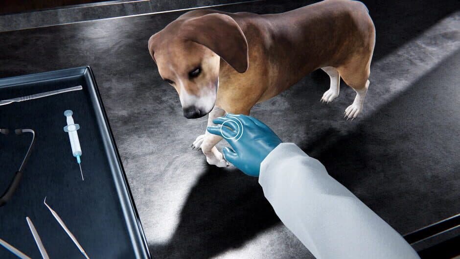 Veterinary Clinic Simulator screenshot 4