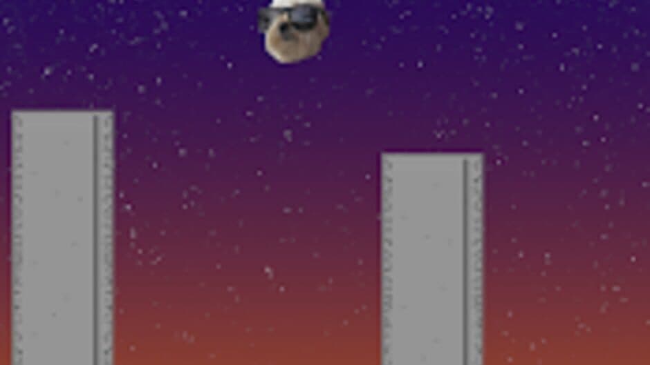 Jumpy Dog