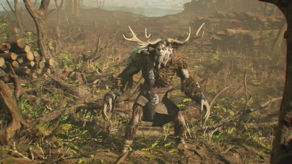 Leshy screenshot 2