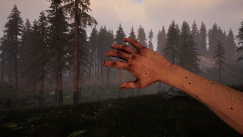Tunguska: A Call in the Woods