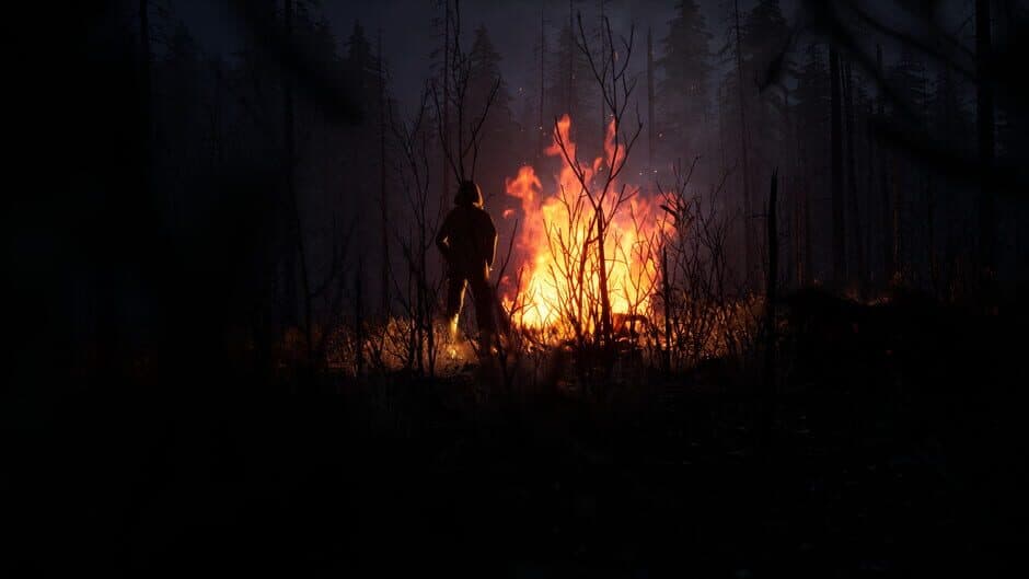 Tunguska: A Call in the Woods screenshot 2
