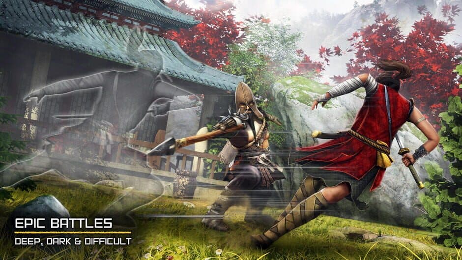 Ryuko: Legend of Shadow Hunter screenshot 3