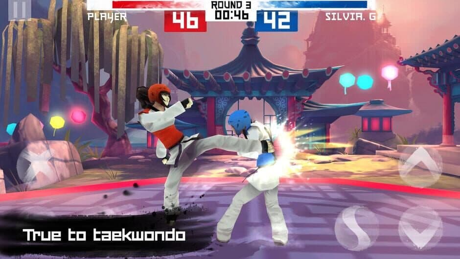 Taekwondo screenshot 3