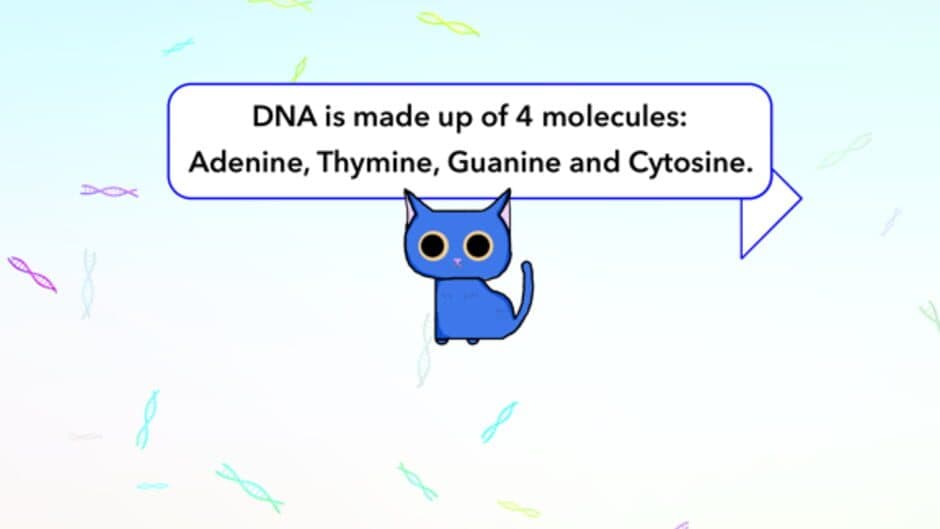 Barrel of DNA