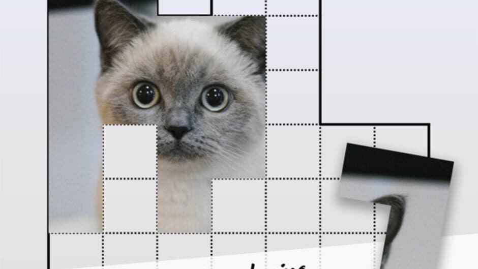 Pictominoes screenshot 5