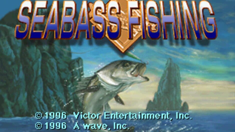 Sea Bass Fishing