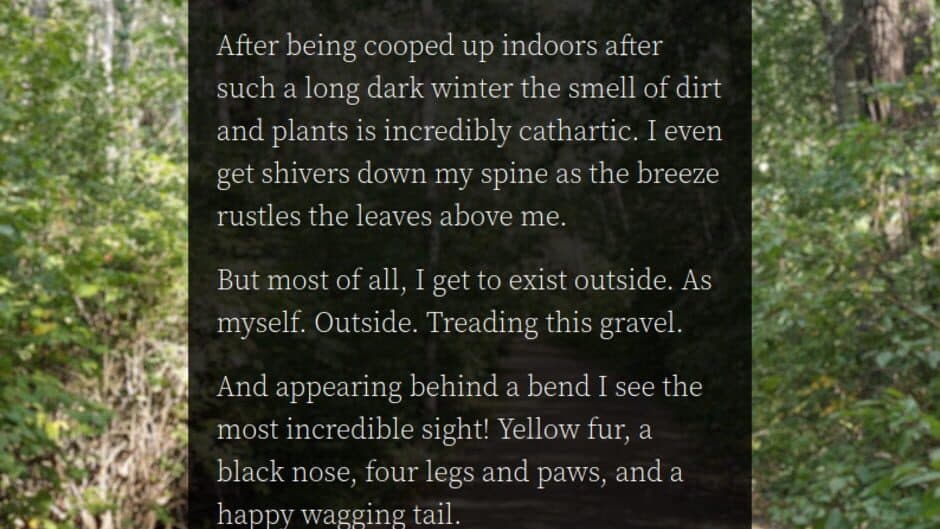 I am Dog(s) screenshot 2
