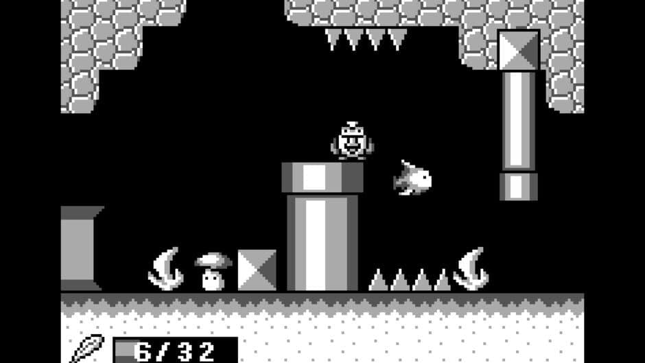 A Maze for Owls