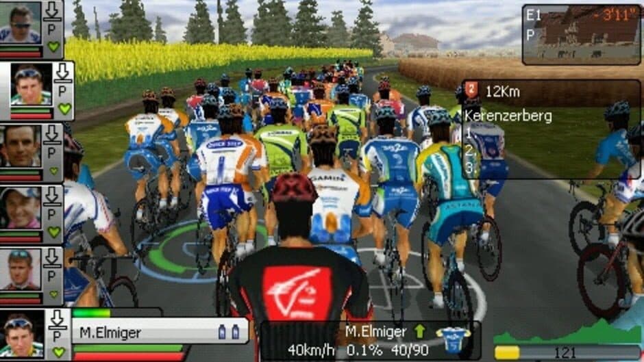 Pro Cycling 2010