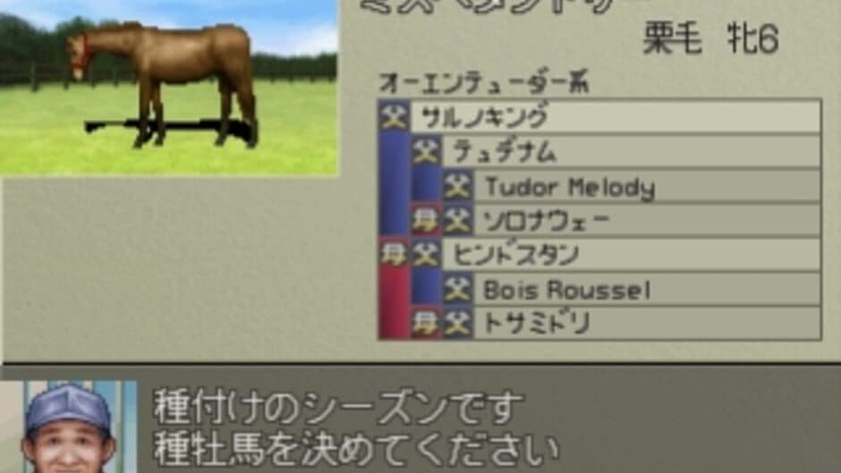 Derby Stallion 99