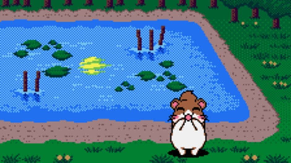 Dokodemo Hamster 3: O Dekake Safuran screenshot 3