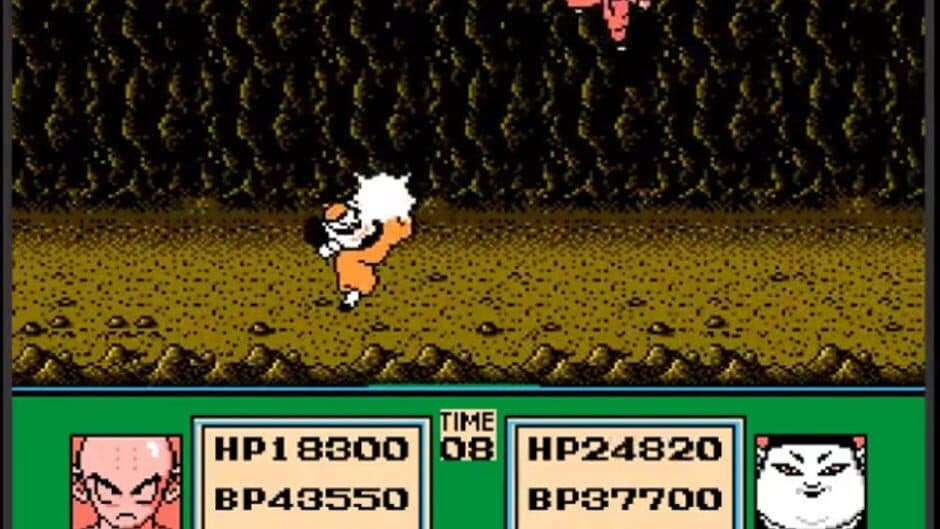 Dragon Ball Z: Gekitou Tenkaichi Budoukai