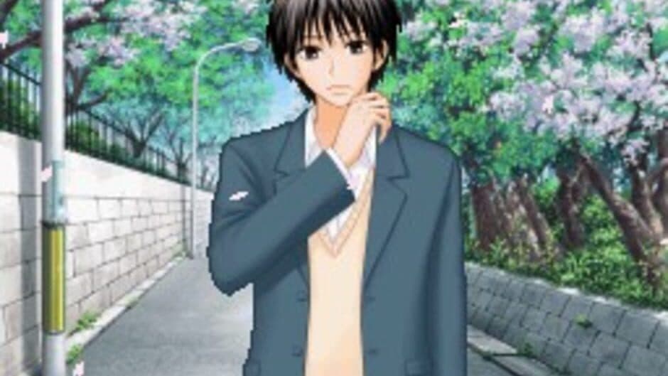 Kimi ni Todoke: Sodateru Omoi