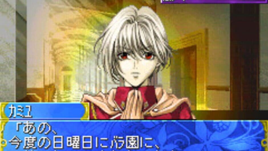 Tanbi Musou: Meine Liebe