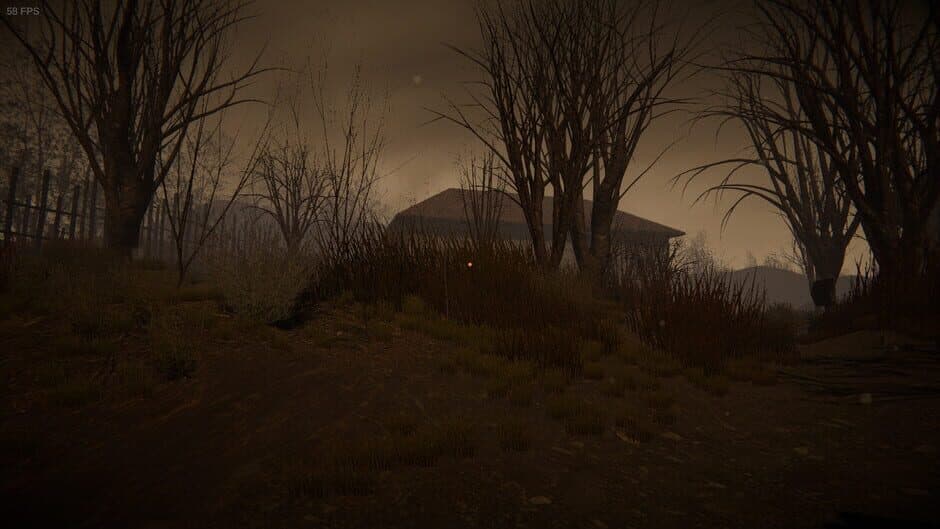 Crazyness: Weird Village screenshot 3