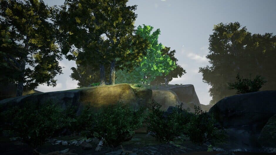 River Relaxation VR screenshot 6