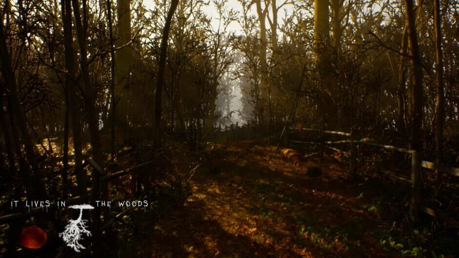 It Lives in the Woods