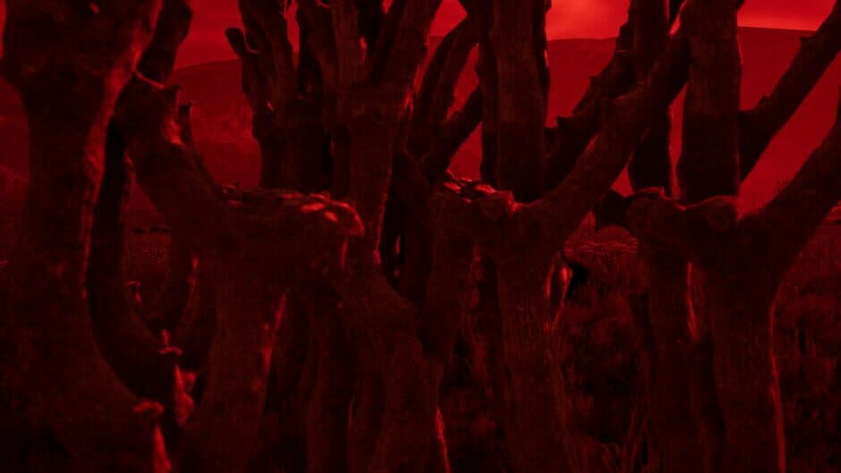 Nightmares of the death