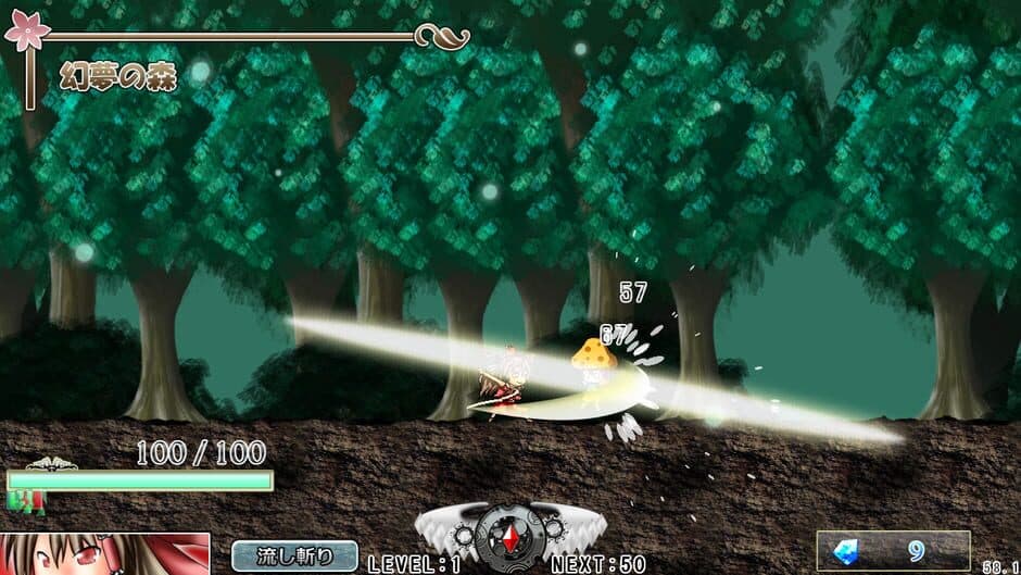 Touhou Mumyouken: Unorganized Heroes screenshot 6