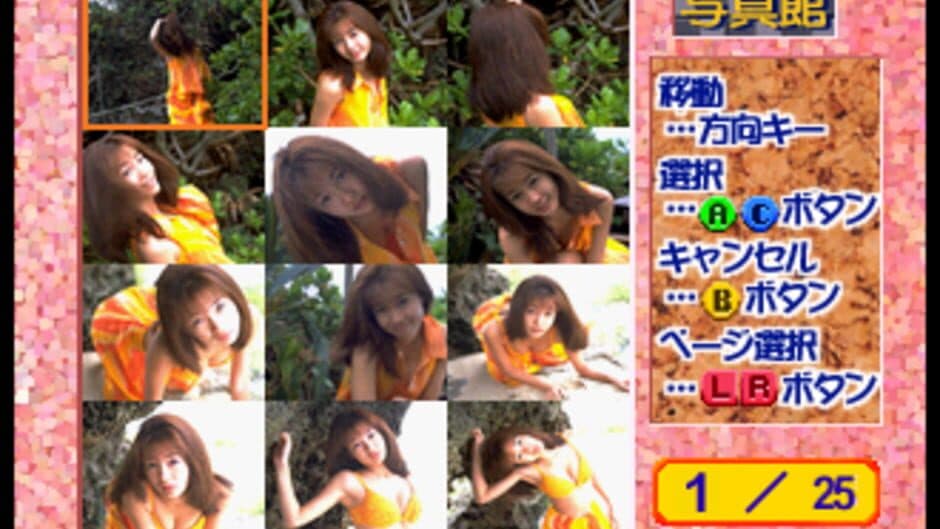 Private Idol Disc Vol. 9: Nagamatsu Keiko screenshot 2