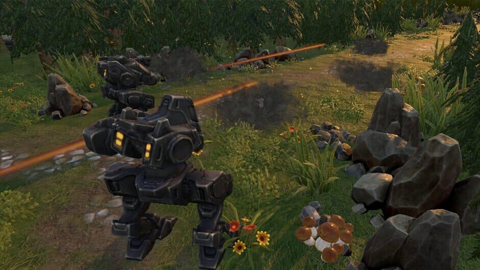 Mayhem Fortress