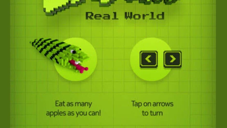 Snake Real World