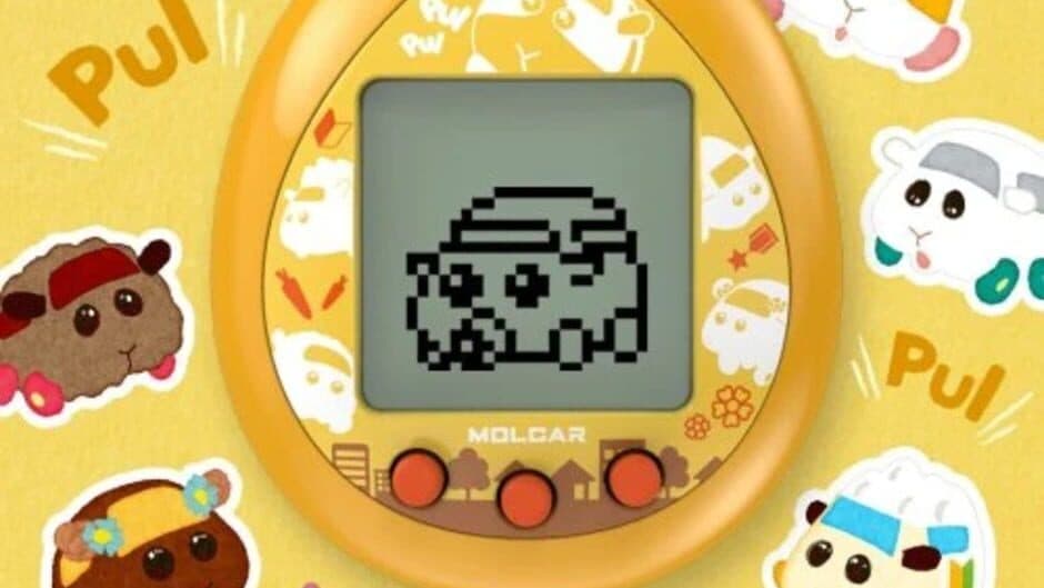 Pui Pui Molcartchi screenshot 3